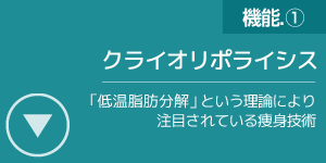 クライオリポライシス